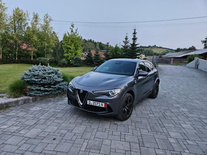 Ogłoszenia kupię sprzedam Alfa Romeo Stelvio Quadrifoglio