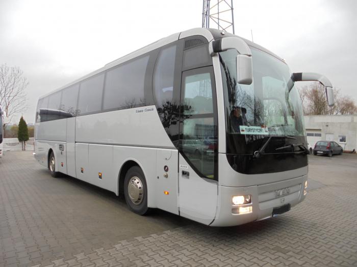 Ogłoszenia kupię sprzedam MAN R07 Lions Coach